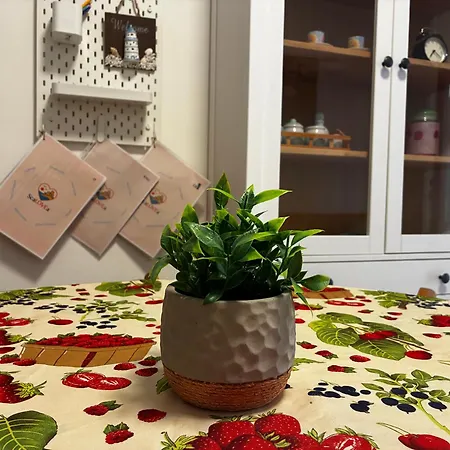 Διαμέρισμα Scalovea